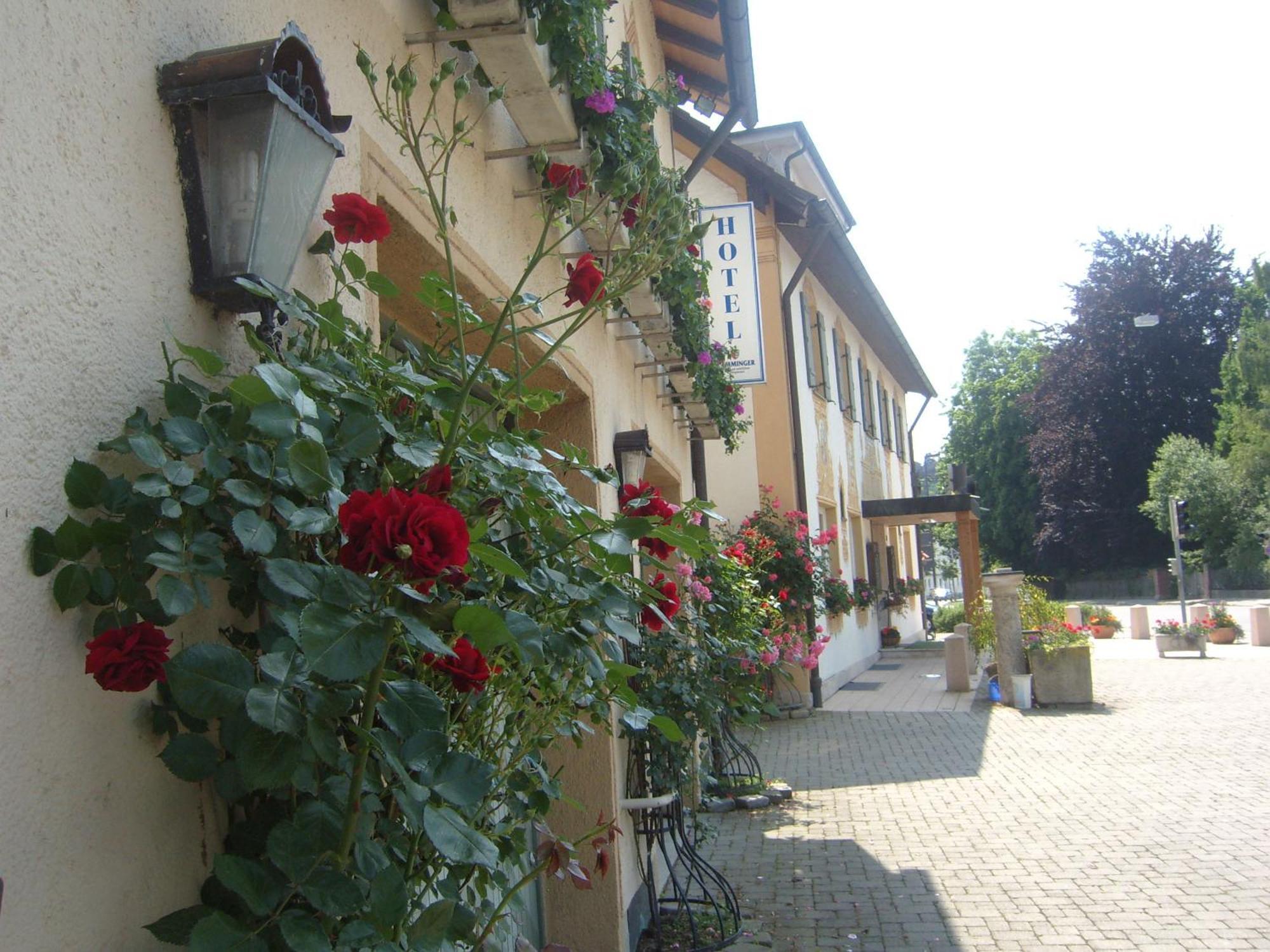 Stern Gasthof 2*